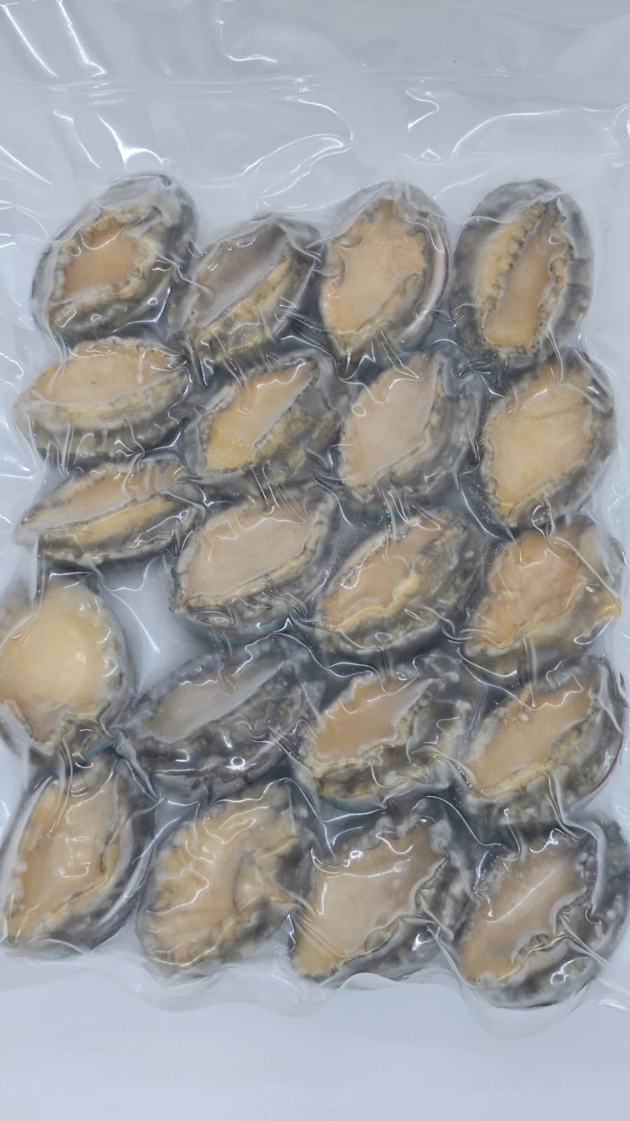 急凍大連鮑魚
