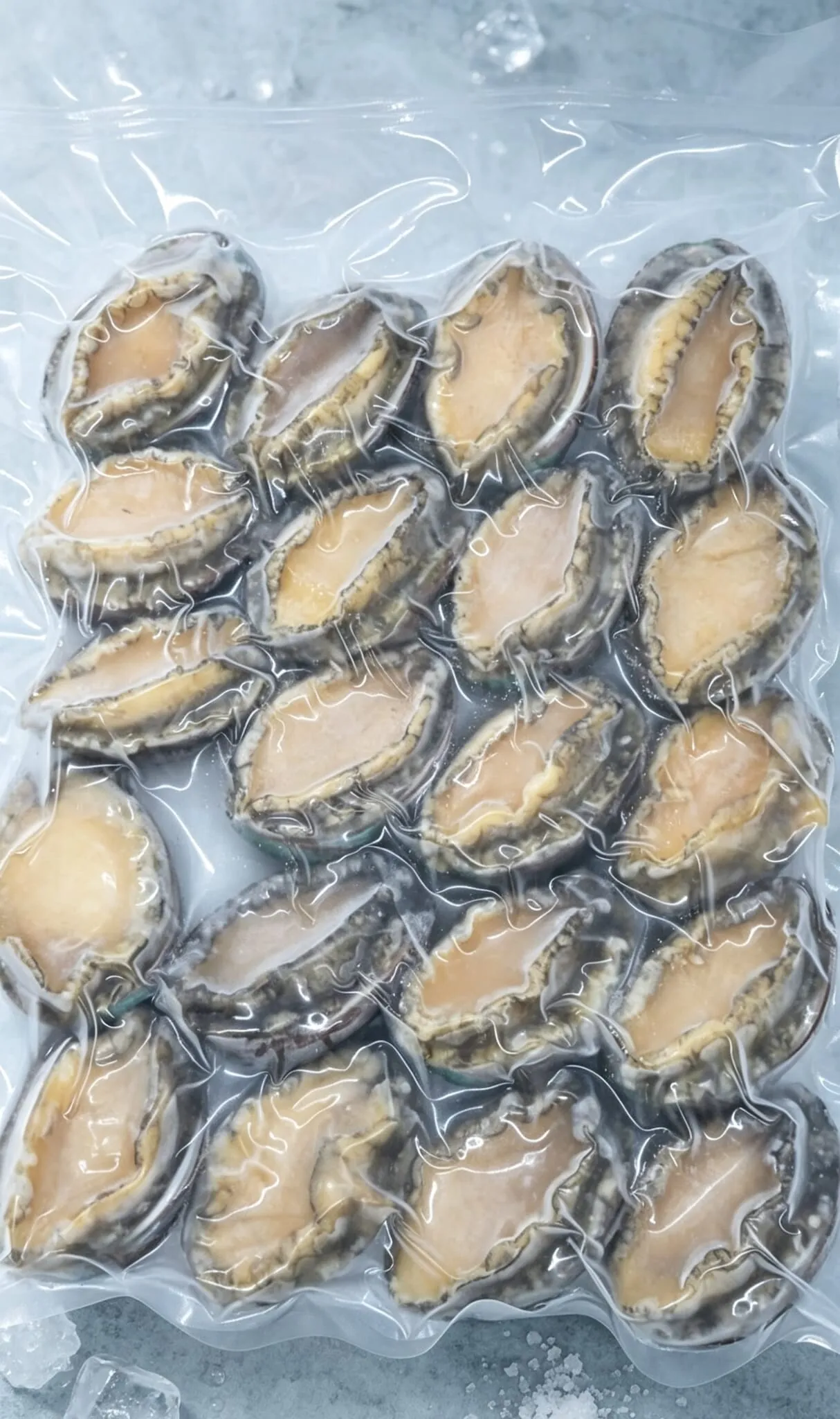 急凍大連鮑魚