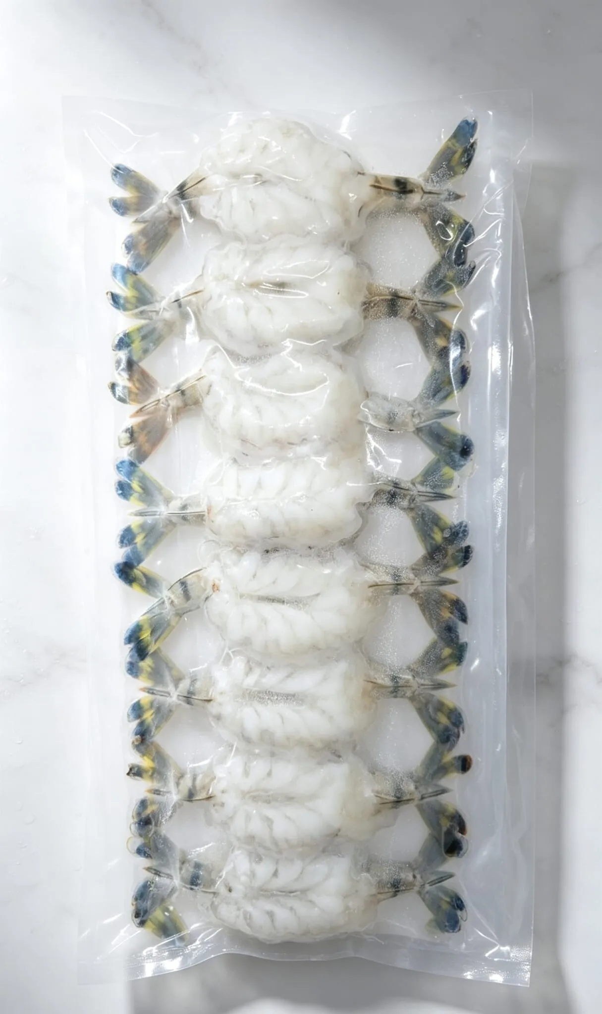 10G虎蝦刺身20隻裝