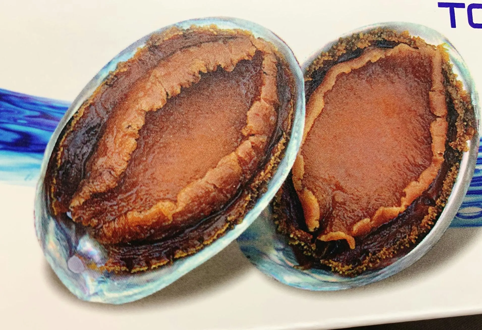 江船長 磯煮鮑魚（日式磯煮鮑魚）
